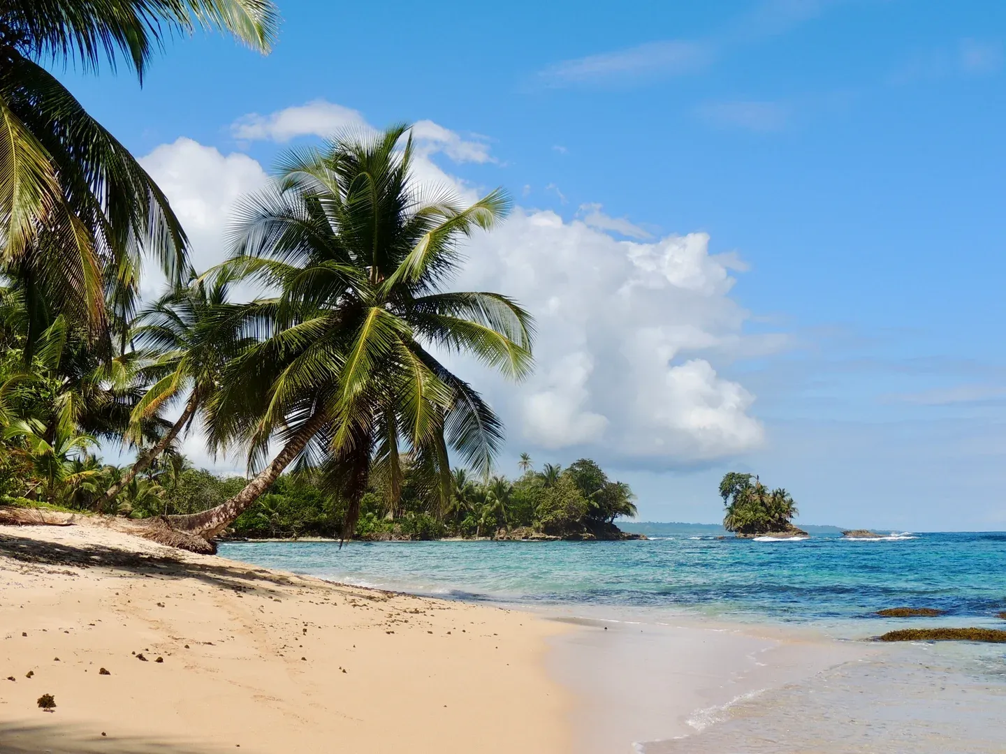 Panama City – Bocas del Toro regular daily flights
