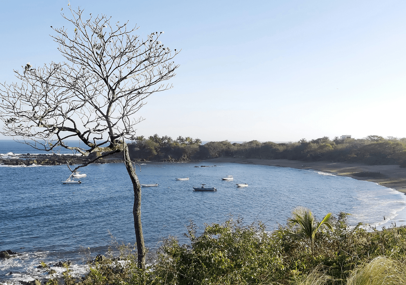 Panama City – Pedasi regular flights