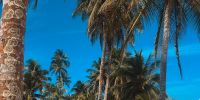 San blas islands
