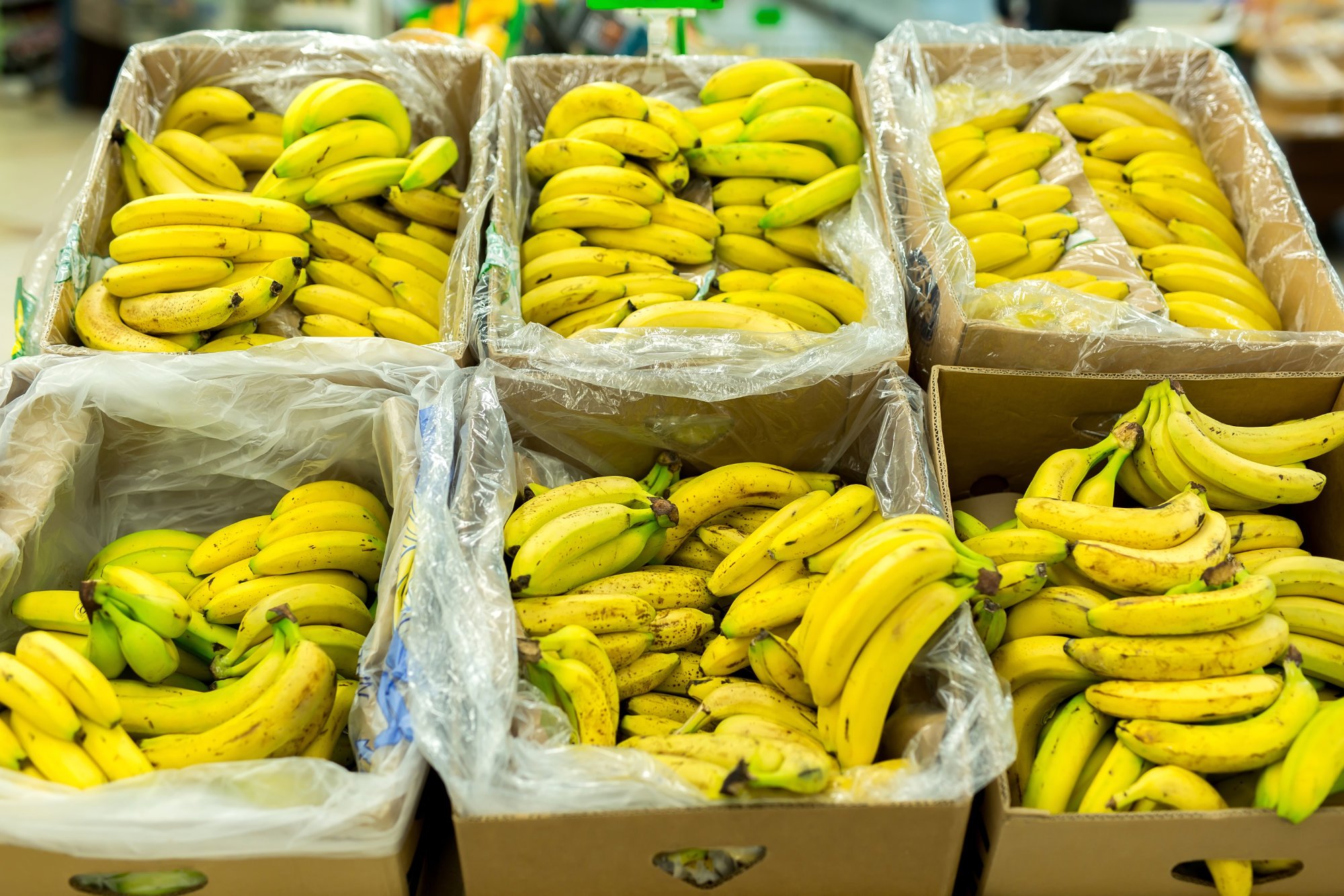 The History of the banana industry in Changuinola - Blue Skies